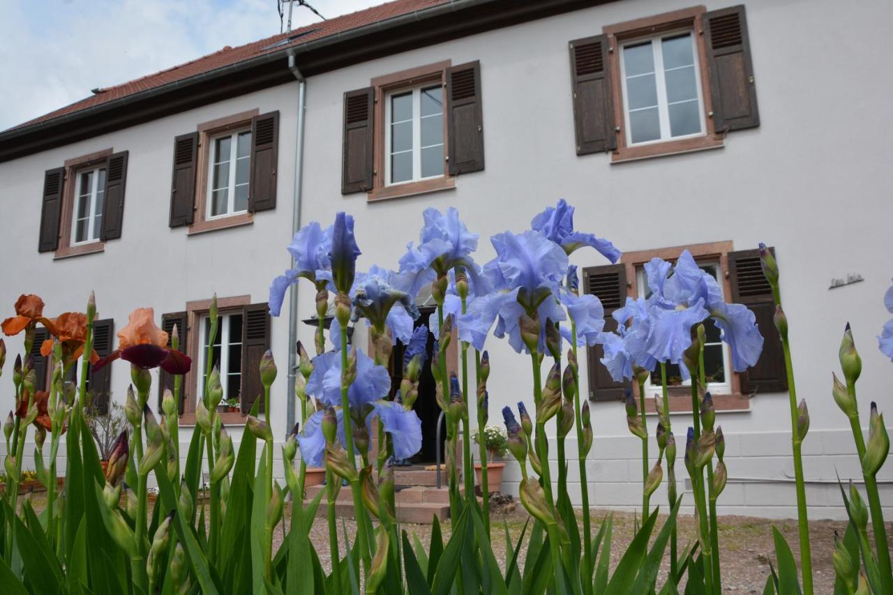 Ferme Les Iris Apartment Issenheim Luaran gambar